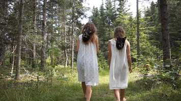 Free download [were]wolves in sheeps clothing video and edit with RedcoolMedia movie maker MovieStudio video editor online and AudioStudio audio editor onlin